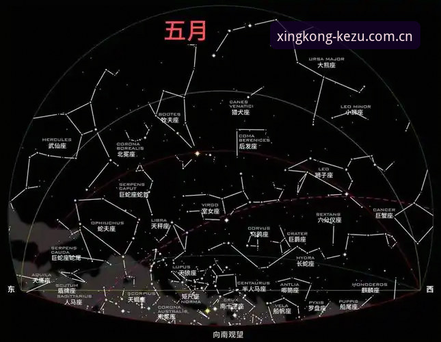 深度分析星空APP赔率对比工具的全场景实战教程：从下载到精准决策的完整路径